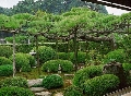 Коллекция фотографий японских садов (часть 1)