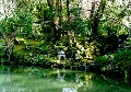 Коллекция фотографий японских садов (часть 3)