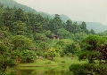 Коллекция фотографий японских садов (часть 5)